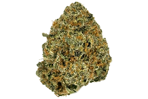 Common Citizen | Death Star Bulk Flower by Common Citizen