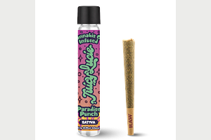 Paradise Punch Infused Pre-Roll | 1.2g by Juicy Lucie