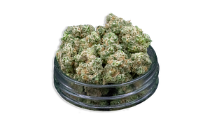King Wilson Bulk Flower (Smalls) by Common Citizen