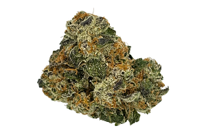 Glorious | Summer Snow Bulk Flower by Glorious Cannabis Co.