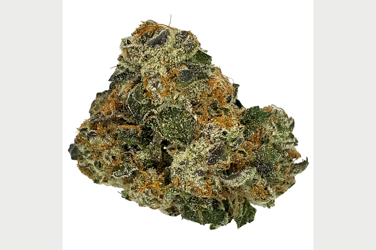 Glorious | Summer Snow Bulk Flower by Glorious Cannabis Co.