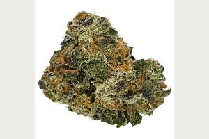 Glorious | Summer Snow Bulk Flower by Glorious Cannabis Co.