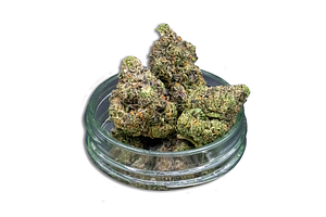 Sunset Kush Bulk Flower by Common Citizen