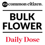 Common Citizen | Diamond Bar Bulk Flower (Smalls) by Common Citizen