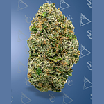 Society C | Omega Runtz Prepackaged Flower | 3.5g by Society C