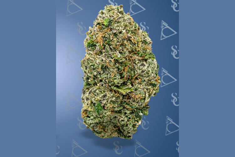 Society C | Omega Runtz Prepackaged Flower | 3.5g by Society C