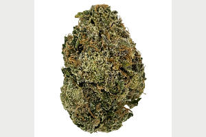 Society C | Omega Runtz Bulk Flower by Society C