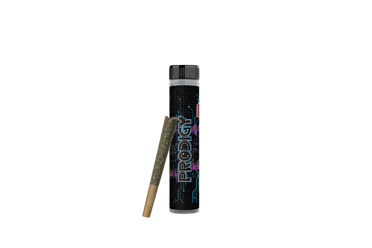 Pro Gro | Prodigy Pre-Roll | 1g by Pro Gro