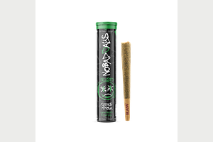 No Bad Days | Citrus Mimosa Infused Pre-Roll | 1.2g by No Bad Days