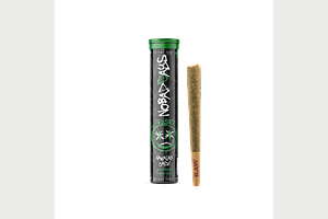 No Bad Days | Hawaiian Jack Infused Pre-Roll | 1.2g by No Bad Days