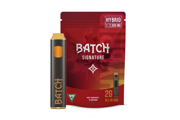 BATCH | Blackberry Kush All-In-One Vape | 2g by BATCH