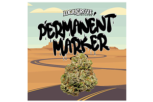 Local Grove | Permanent Marker Bulk Flower by Local Grove