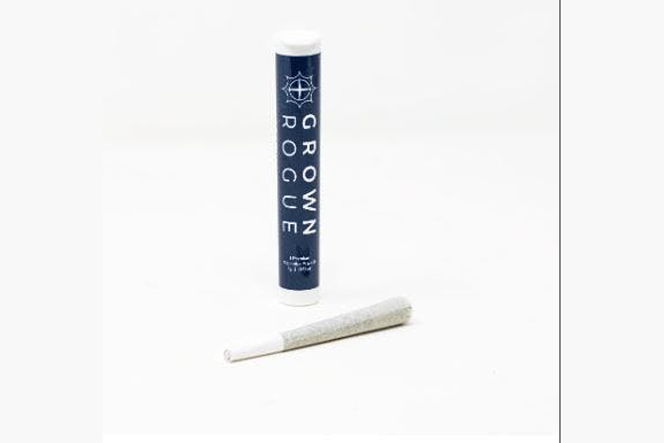 Grown Rogue | Jack Herer Pre-Roll | 1g by Grown Rogue