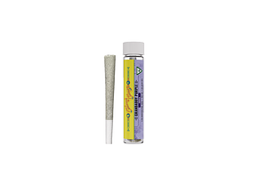 Cheech & Chong's | Grandaddy Purple Distillate Infused Pre-Roll | 1.2g by Cheech & Chong's