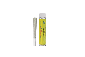 Cheech & Chong's | Key Lime Pie Distillate Infused Pre-Roll | 1.2g by Cheech & Chong's