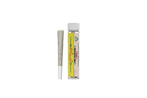 Cheech & Chong's | Pink Champagne Distillate Infused Pre-Roll | 1.2g by Cheech & Chong's