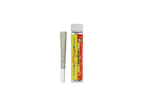 Cheech & Chong's | Apple Fritter Distillate Infused Pre-Roll | 1.2g by Cheech & Chong's