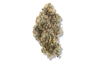 Bud Hub | Jack Herer Bulk Flower by Bud Hub