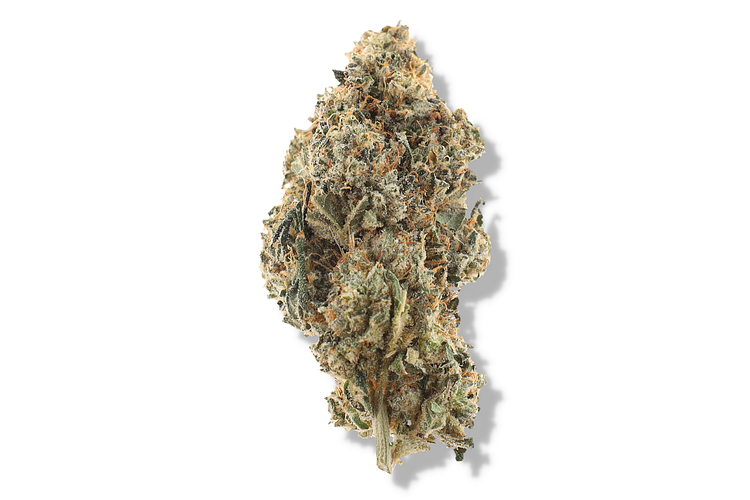 Bud Hub | Jack Herer Bulk Flower by Bud Hub