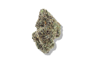 Bud Hub | Permanent Marker Bulk Flower by Bud Hub