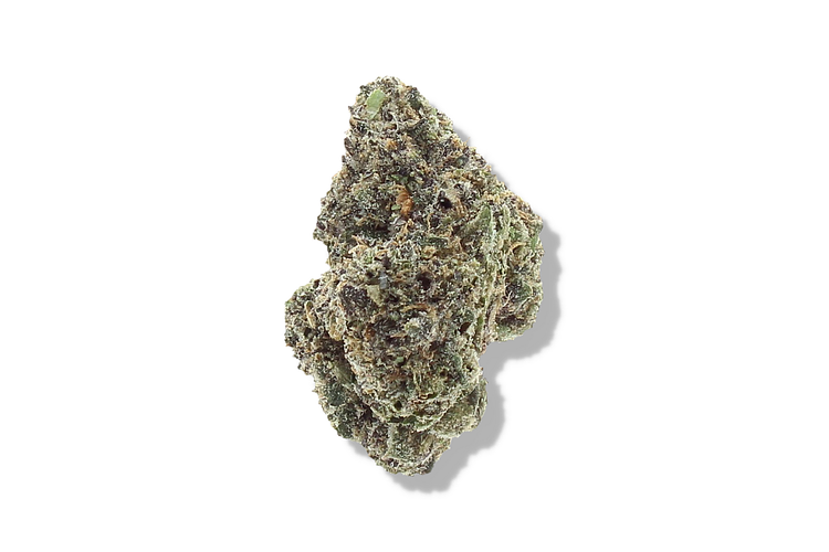 Bud Hub | Permanent Marker Bulk Flower by Bud Hub