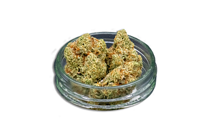 Common Citizen | Gummee Runtz Bulk Flower by Common Citizen