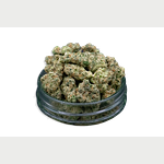 Common Citizen | Animal Mint Cake Bulk Flower (Smalls) by Common Citizen