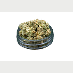 Common Citizen | Hollywood Ghost Bulk Flower (Smalls) by Common Citizen
