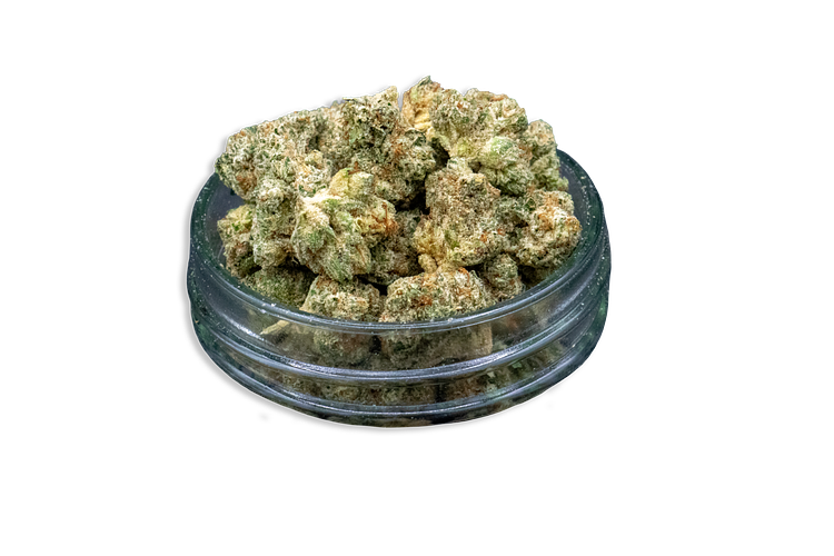 Common Citizen | Hollywood Ghost Bulk Flower (Smalls) by Common Citizen