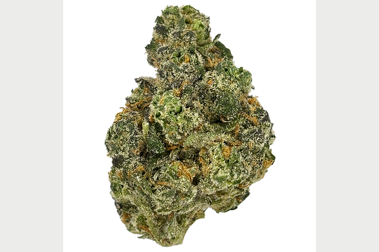 Glorious | Frosted Truffle Pie Bulk Flower by Glorious Cannabis Co.