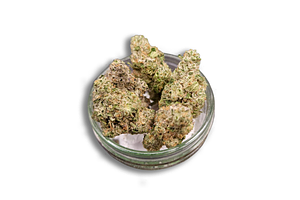 Banaconda Bulk Flower by Uplyfted Cannabis Co.