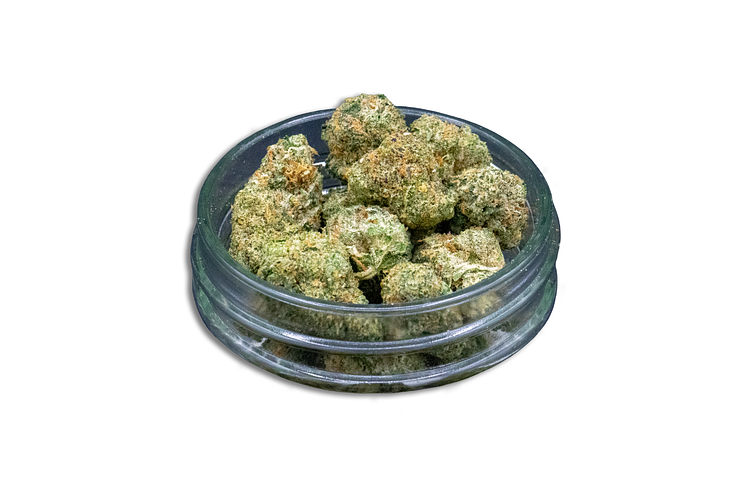 Orange Wedding Cake Bulk Flower (Smalls) by Common Citizen