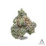 Project Z Bulk Flower by Society C