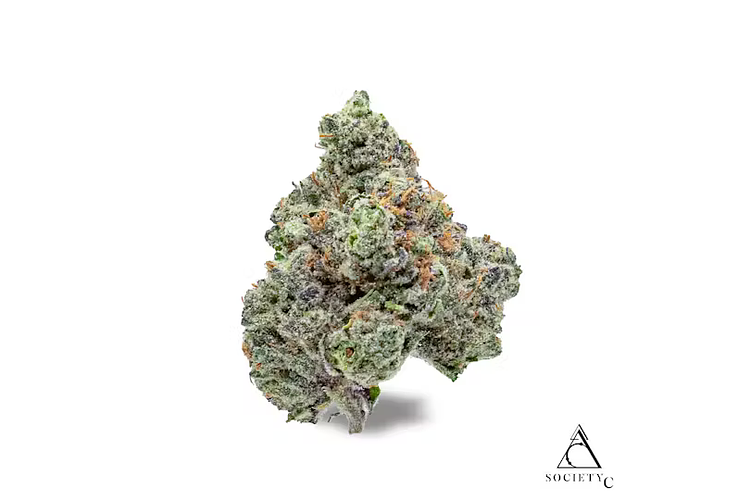 Project Z Bulk Flower by Society C