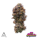 The Runtz Bulk Flower by Society C