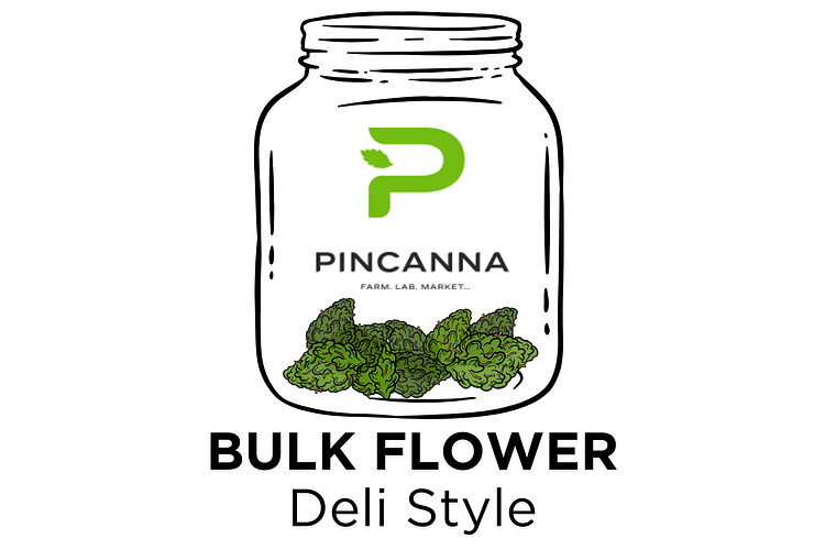 Sunshine #4 Bulk Flower by Pincanna