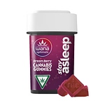 Dream Berry Stay Asleep Gummies | 4:1:1:2 CBD:CBN:CBG:THC | 100mg by Wana