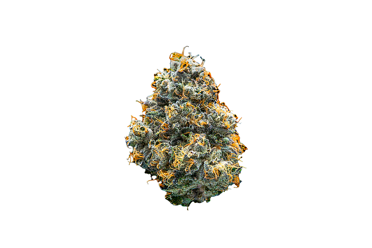 Mochi Gelato Bulk Flower by Society C