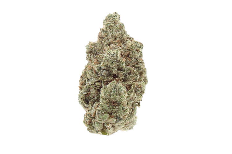 Gorilla Glue #4 Bulk Flower by Bud Hub