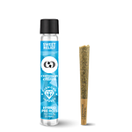 Animal Sorbet Kush Mints Infused Pre-Roll | 1g by Common Citizen