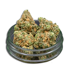 Blue Dream Bulk Flower by Common Citizen