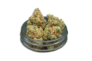Blue Dream Bulk Flower by Common Citizen