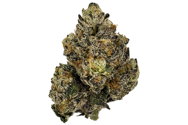 The Hempire Collective | Gem Z Bulk Flower by The Hempire Collective