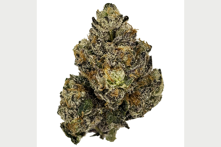 The Hempire Collective | Gem Z Bulk Flower by The Hempire Collective