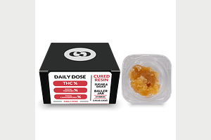 Common Citizen | Mac N Cheese Cured Resin Sugar & Sauce Baller Jar | 3.5g by Common Citizen