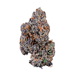 Pink Runtz Bulk Flower by Hytek