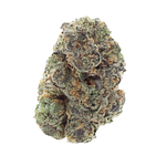 Gary Payton Bulk Flower by Bud Hub
