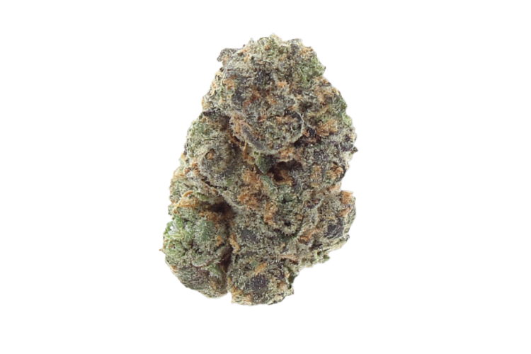 Gary Payton Bulk Flower by Bud Hub