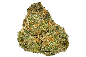 Green Crack Bulk Flower by Bud Hub