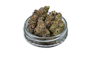 OGee Crasher Bulk Flower by Common Citizen